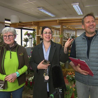 Manderscheid gegen Jagsthausen, Thema: Ritter