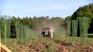 Traktor fährt auf einem Acker mit frischgepflanzte Bäumen