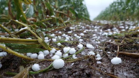 Hagel