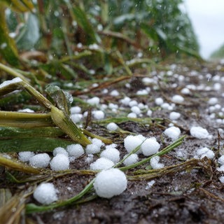 Hagel