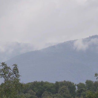 Über einem dicht bewaldeten Berg schwebt der Nebel