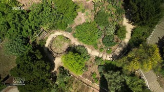 Der Garten Eden aus der Drohnenposition