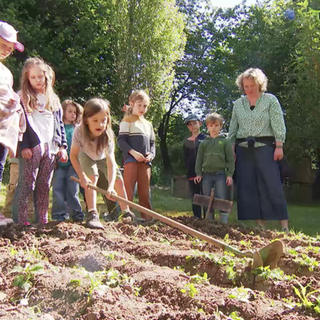 Montessori Klasse übt pflügen