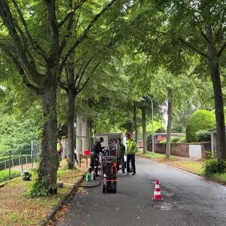 Wellness-Treatment für Stadtbäume in Pirmasens