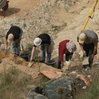 Forscher*innen graben in Eppelsheim nach Fossilien.