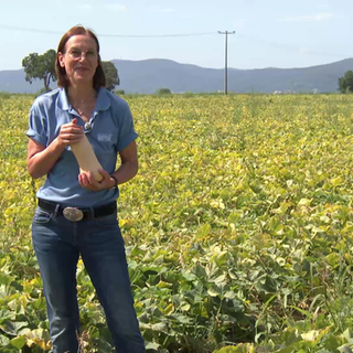 Wetter-Reporterin Ulrike Nehrbaß