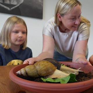 Schnecken als Therapiebegleiter