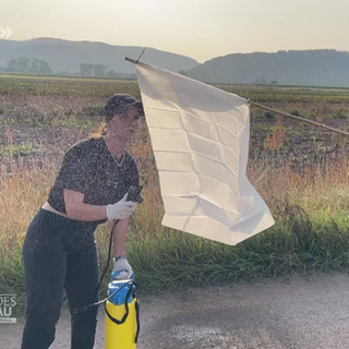 Trierer Studierende suchen nach unsichtbaren Insekten-Spuren