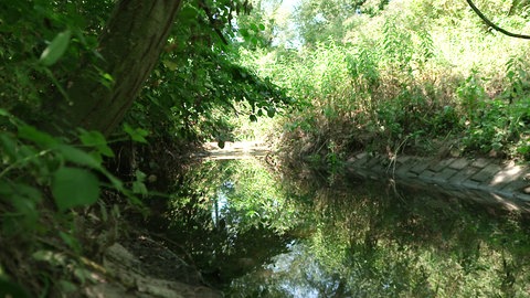 Bach mit niedrigen Wasserstand