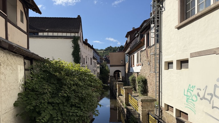 Ein Blick auf Häuser in Wolfstein von einer Brücke. Die Häuser stehen am Wasser.