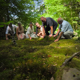 Eine Führung durch den Moosgarten in Staudernheim