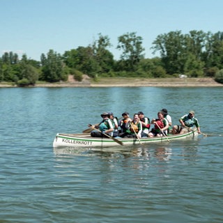 Kanuten auf dem Rhein