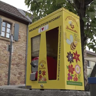 Ein Bienenfutterautomat in Deidesheim