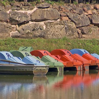 Tretboote liegen am Ufer des Paddelweihers bei Hauenstein