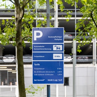 Immer öfter findet man auf Parkplätzen digitale Parksysteme.