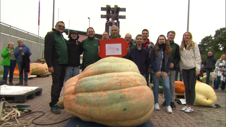 Stolze Gewinner des Wiegewettbewerb für Kürbisse