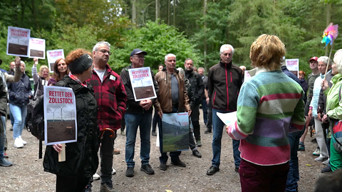 RWE will Bäume für Windräder fällen