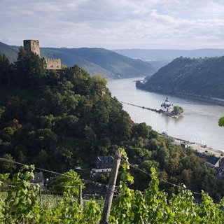 Ein Ausblick über Weinberge auf die Pfalzgrafenstein mitten im Rhein und die Burg Gutenfels auf der Höhe.