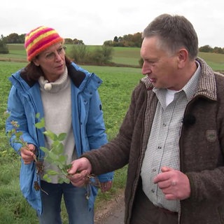 Reporterin Ulrike Nehrbaß spricht mit einem Mann neben einem Feld über Pflanzen