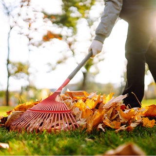 Herbstlaub wird zusammengerecht
