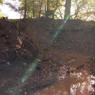 Mulde im Wald schützt vor Sturzflut bei Starkregen