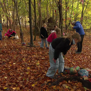 Kinder im Waldentdeckerpfad