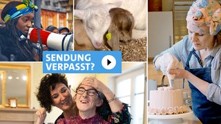 Kollage aus verschiedenen Landesschau Beiträgen