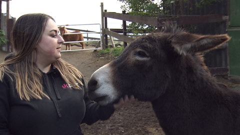 Frau streichelt einen Esel
