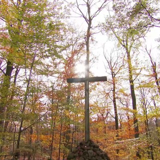 Ruheforst Südpfälzer Bergland