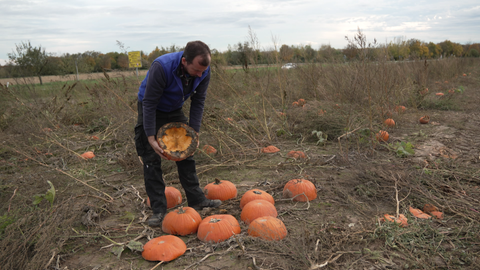 Andreas Jester steht vor seinen zerstörten Kürbissen