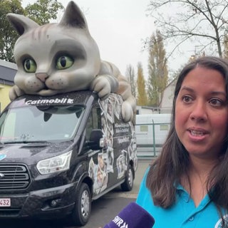 Catmobil in Mainz