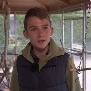 Junge steht in einer Vogliere.