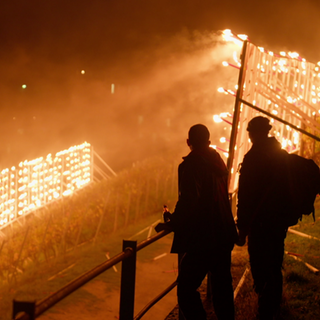 Ahrweiler Martinsfest: Die "Niddehöde Jonge" und der Wettkampf ums Feuer