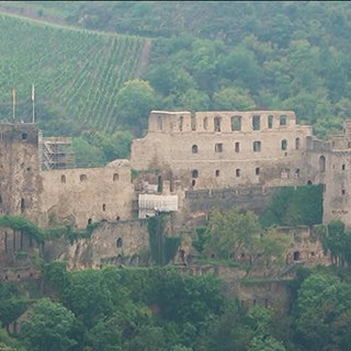 Burg