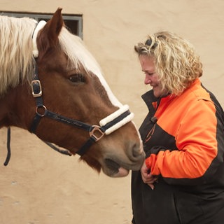Kaltblut Jaspa und seine Besiterzin Vera Hufschmidt