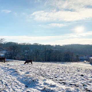 Diese Landschaft im Westerwald wird gesucht.