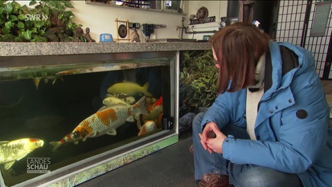 Ulrike Hellwig sieht sich Koifische an