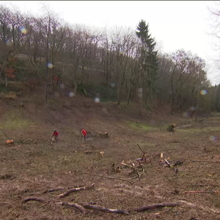 Renaturierungsarbeiten