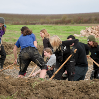Bei der Aktion "Wald zum Leben" packen über 100 Freiwillige im rheinhessischen Sulzheim an, um Bäume zu pflanzen und neue Lebensräume zu schaffen.