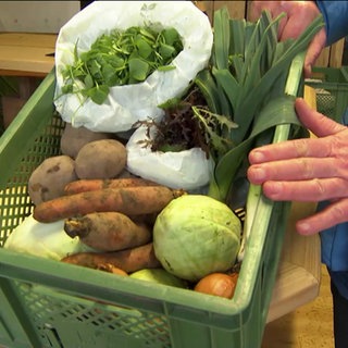 EIn Korb voll mit frisch geerntetem Gemüse