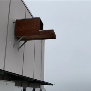 Vogelhaus an Industriegebäude