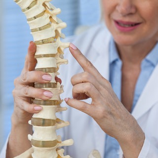 Ärztin hält Modell einer Wirbelsäule in der Hand
