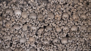 Schädel und Menschenknochen füllen das gesamte Foto.