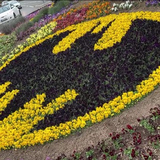 Batmanlogo aus Blumen