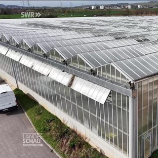 Ein Gewächshaus auf dem Land