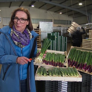 Wetter-Reporterin Ulrike Hellwig