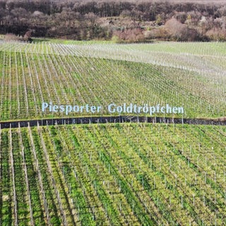 Die Weinlage Piesporter Goldtröpfchen – sieht ein bisschen aus nach Hollywood.