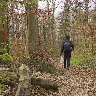 Ein Mann läuft durch den Wald