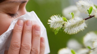 Eine Frau steht vor einem Busch mit Weidenkätzchen und schnäuzt sich in ein Taschentuch