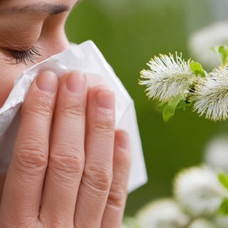 Eine Frau steht vor einem Busch mit Weidenkätzchen und schnäuzt sich in ein Taschentuch